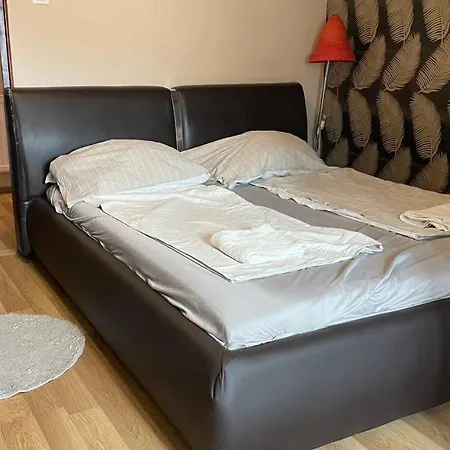 Bristol Guest house *